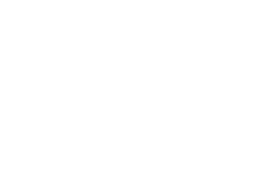 FA Insurance - Logo 800 White